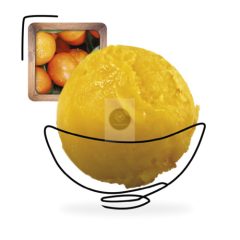 Clementin sorbet 'Plein Fruit' 2.5L